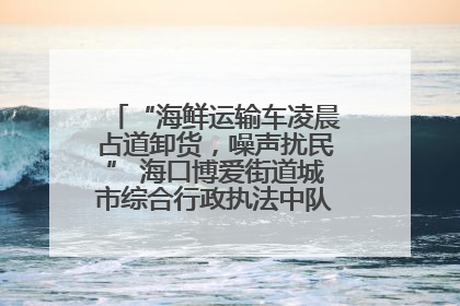 “海鲜运输车凌晨占道卸货，噪声扰民” 海口博爱街道城市综合行政执法中队：将联合交警加强长堤路一带巡逻