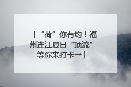 “荷”你有约！福州连江夏日“顶流”等你来打卡→