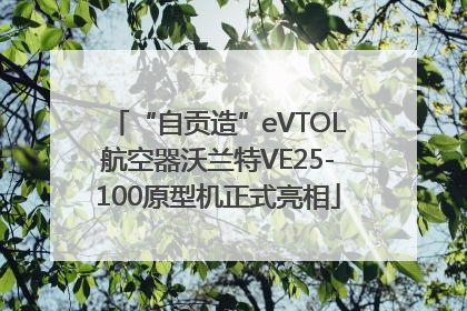 “自贡造”eVTOL航空器沃兰特VE25-100原型机正式亮相