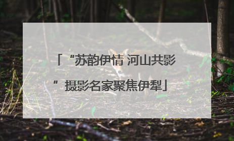 “苏韵伊情 河山共影”摄影名家聚焦伊犁