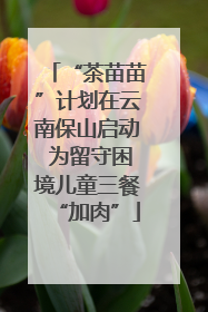 “茶苗苗”计划在云南保山启动 为留守困境儿童三餐“加肉”