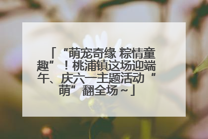 “萌宠奇缘 粽情童趣”！桃浦镇这场迎端午、庆六一主题活动“萌”翻全场～