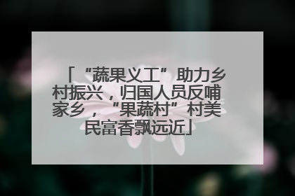 “蔬果义工”助力乡村振兴，归国人员反哺家乡，“果蔬村”村美民富香飘远近