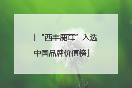 “西丰鹿茸”入选中国品牌价值榜