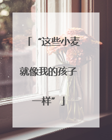 “这些小麦就像我的孩子一样”