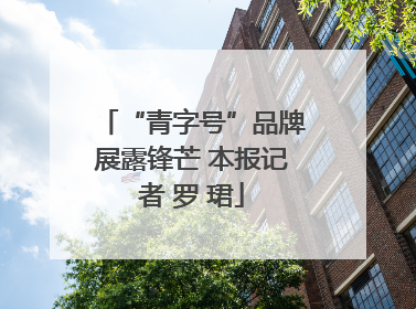 “青字号”品牌展露锋芒 本报记者 罗 珺