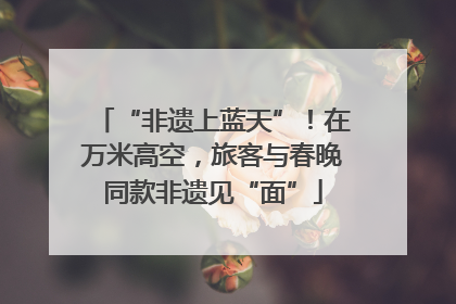 “非遗上蓝天”！在万米高空，旅客与春晚同款非遗见“面”