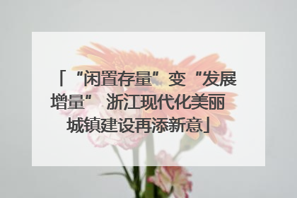 “闲置存量”变“发展增量” 浙江现代化美丽城镇建设再添新意