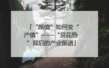 “颜值”如何变“产值”——“赏花热”背后的产业图谱