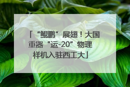 “鲲鹏”展翅！大国重器“运-20”物理样机入驻西工大