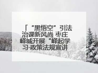 “黑悟空”引法治课新风尚 枣庄峄城开展“峄起学习·政策法规宣讲面对面”活动