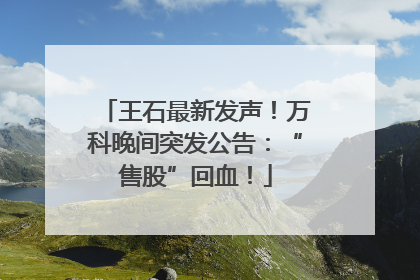 王石最新发声！万科晚间突发公告：“售股”回血！