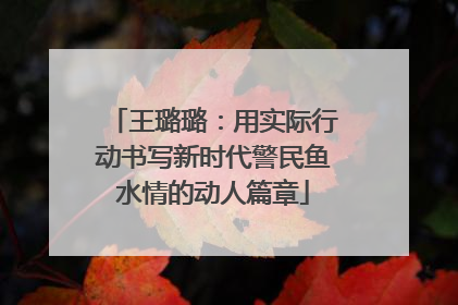 王璐璐：用实际行动书写新时代警民鱼水情的动人篇章