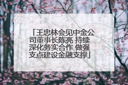王忠林会见中金公司董事长陈亮 持续深化务实合作 做强支点建设金融支撑