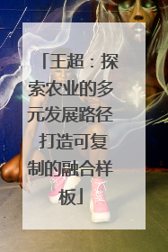 王超：探索农业的多元发展路径 打造可复制的融合样板