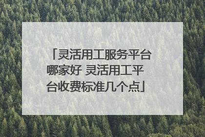 灵活用工服务平台哪家好 灵活用工平台收费标准几个点