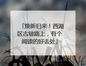 焕新归来！西湖区古墩路上，有个阅读的好去处