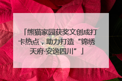 熊猫家园获奖文创成打卡热点，助力打造“锦绣天府·安逸四川”