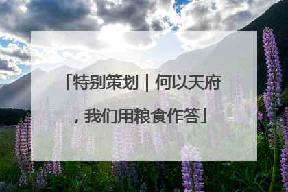 特别策划｜何以天府，我们用粮食作答