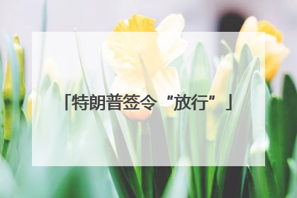 特朗普签令“放行”