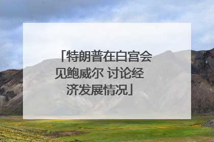 特朗普在白宫会见鲍威尔 讨论经济发展情况