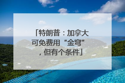 特朗普：加拿大可免费用“金穹”，但有个条件