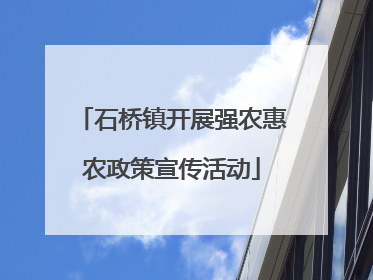 石桥镇开展强农惠农政策宣传活动