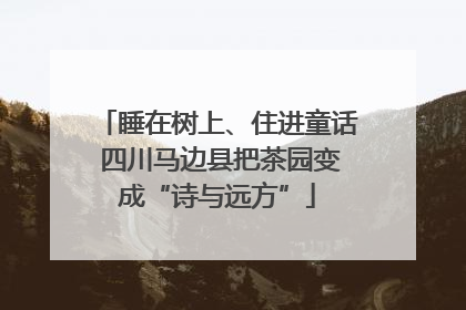 睡在树上、住进童话 四川马边县把茶园变成“诗与远方”