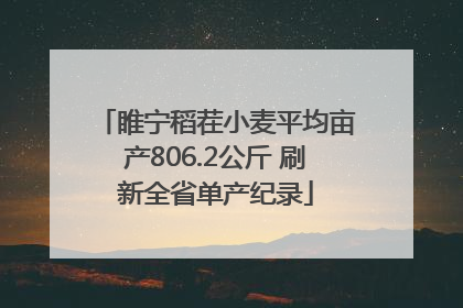 睢宁稻茬小麦平均亩产806.2公斤 刷新全省单产纪录