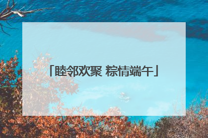 睦邻欢聚 粽情端午