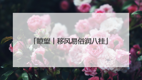 瞭望丨移风易俗润八桂