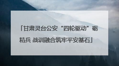 甘肃灵台公安“四轮驱动”砺精兵 战训融合筑牢平安基石