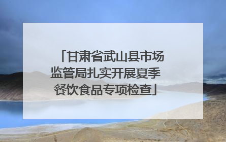 甘肃省武山县市场监管局扎实开展夏季餐饮食品专项检查