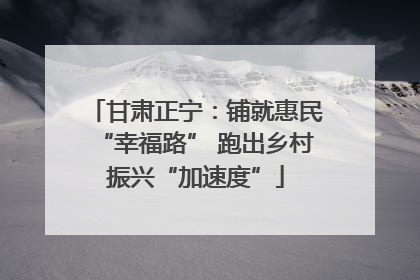 甘肃正宁：铺就惠民“幸福路” 跑出乡村振兴“加速度”