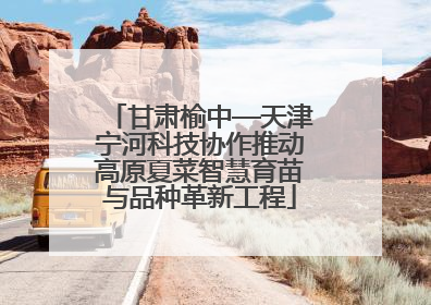 甘肃榆中—天津宁河科技协作推动高原夏菜智慧育苗与品种革新工程