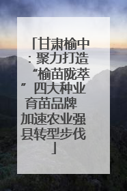 甘肃榆中：聚力打造“榆苗陇萃”四大种业育苗品牌 加速农业强县转型步伐
