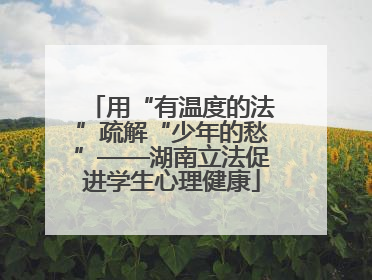 用“有温度的法”疏解“少年的愁”——湖南立法促进学生心理健康