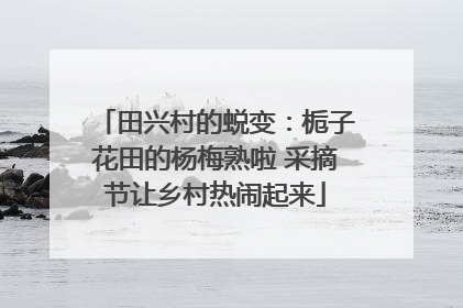 田兴村的蜕变：栀子花田的杨梅熟啦 采摘节让乡村热闹起来