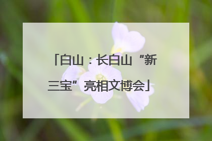 白山：长白山“新三宝”亮相文博会