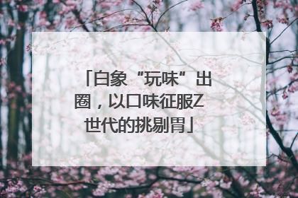 白象“玩味”出圈，以口味征服Z世代的挑剔胃