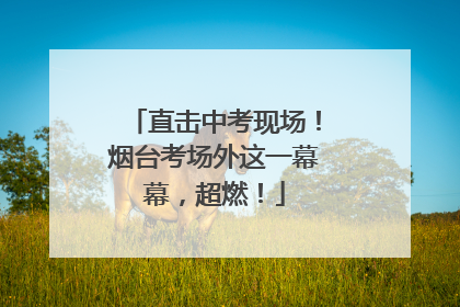 直击中考现场！烟台考场外这一幕幕，超燃！