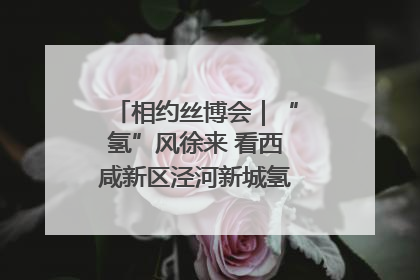 相约丝博会｜“氢”风徐来 看西咸新区泾河新城氢能产业聚链成势