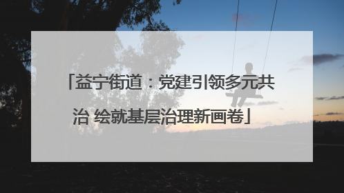 益宁街道：党建引领多元共治 绘就基层治理新画卷