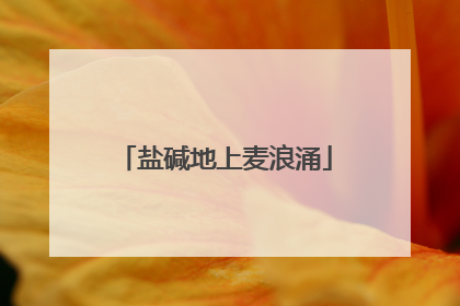 盐碱地上麦浪涌