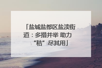 盐城盐都区盐渎街道：多措并举 助力“秸”尽其用