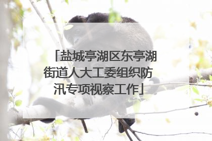 盐城亭湖区东亭湖街道人大工委组织防汛专项视察工作