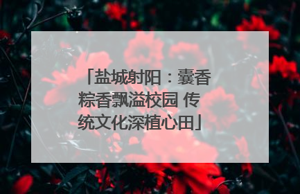 盐城射阳：囊香粽香飘溢校园 传统文化深植心田