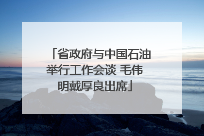 省政府与中国石油举行工作会谈 毛伟明戴厚良出席