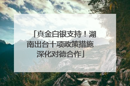 真金白银支持！湖南出台十项政策措施深化对德合作