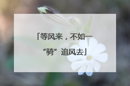 等风来，不如一“骑”追风去